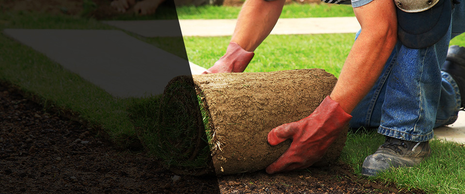 Hutchinson Landscapers